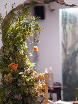 植物花朵