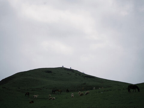乌蒙山