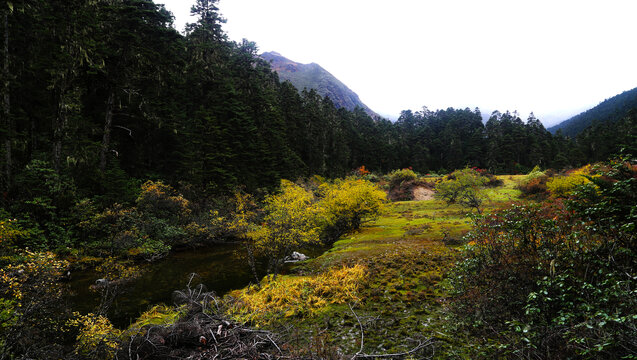 山谷里的水潭