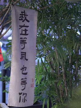 壁纸