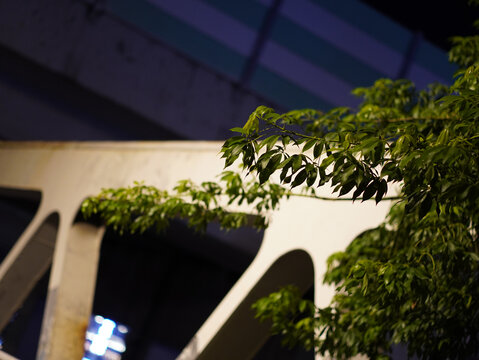 风景