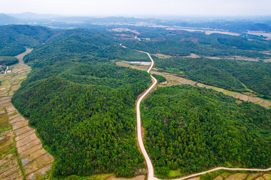 森林公路