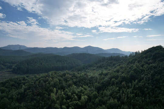 森林远山林业