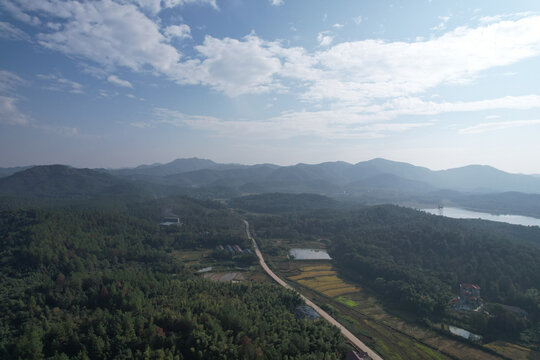 森林公路