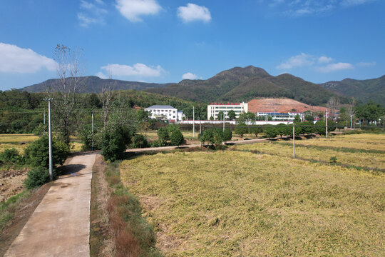 农村