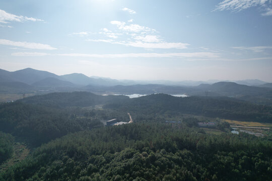 秋景