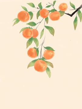 国风水彩柿子插画