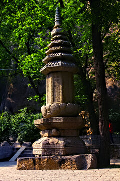 天津盘山塔林