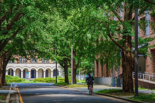 东京大学校园