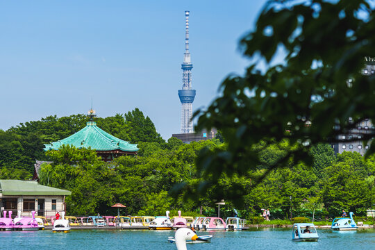 上野恩赐公园