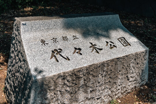 代代木公园