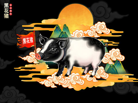 东北黑花猪插画