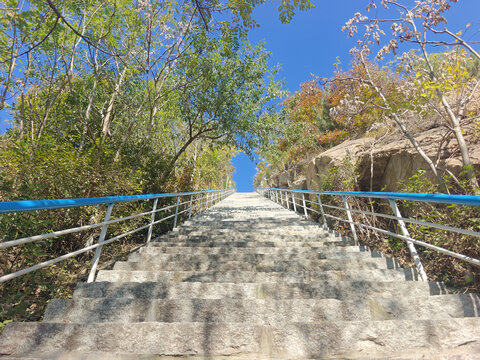 登山步梯