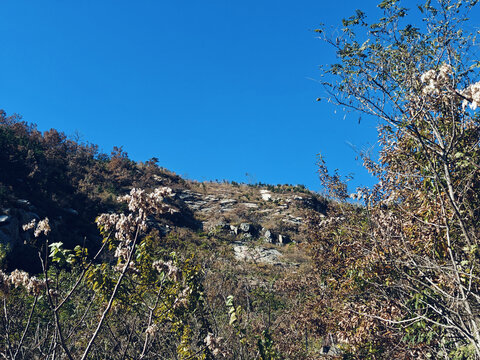山顶