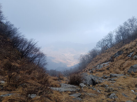 金山