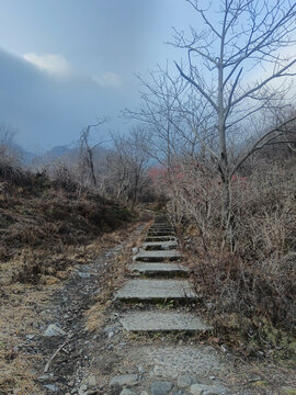 山间小路