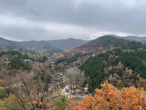 红叶谷
