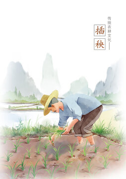 插秧