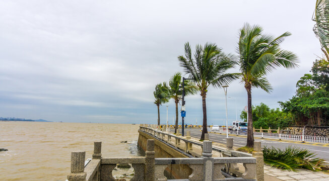 海滨风景