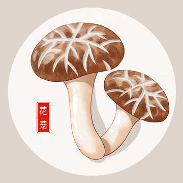 花菇插画