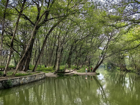 皖南风光西溪古村落景区