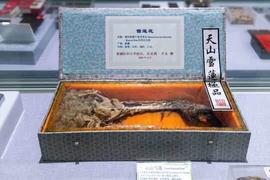 雪莲花