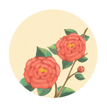 水彩花卉山茶花圆底素材