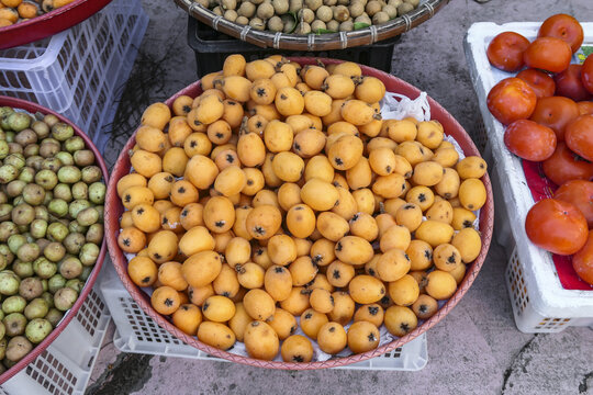 枇杷
