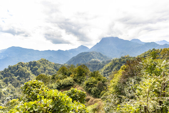 问道青城山