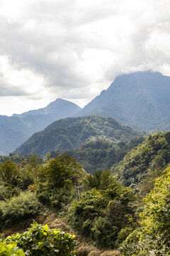 青城后山风光