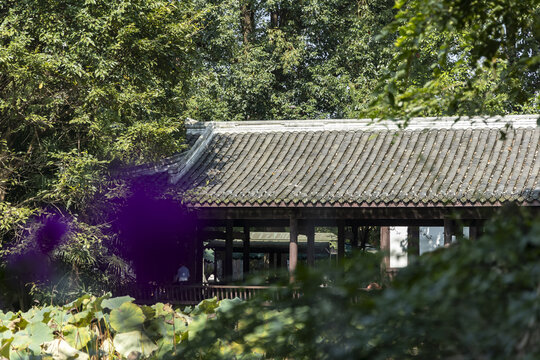 杜甫草堂博物馆