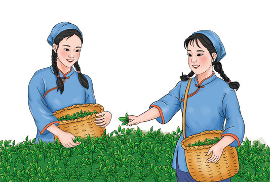采茶女孩