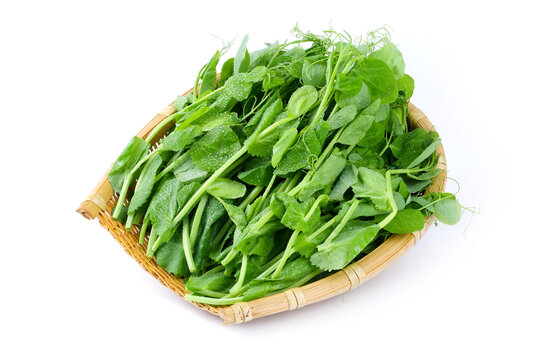 豌豆尖