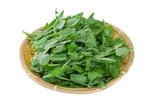 豌豆尖