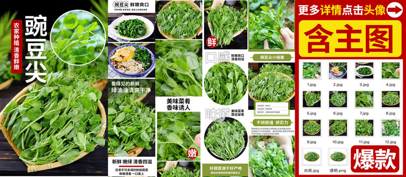 豌豆尖详情