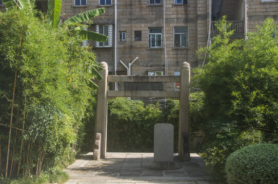 小山丛竹