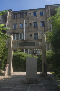 小山丛竹景观