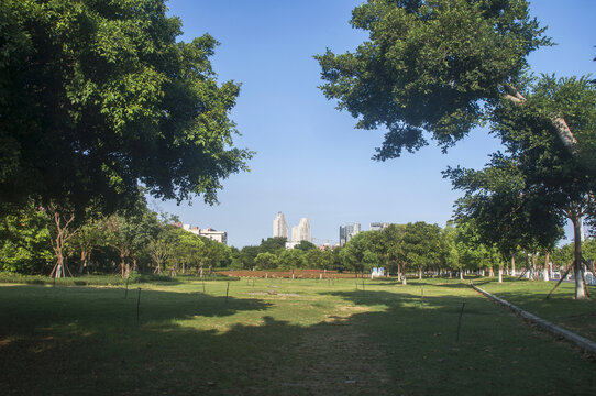 绿色室外空间