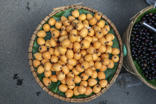枇杷