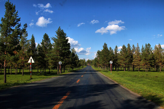 阿尔山草原公路