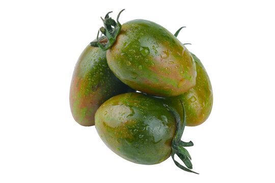 迷彩小番茄