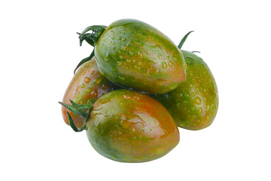 迷彩小番茄