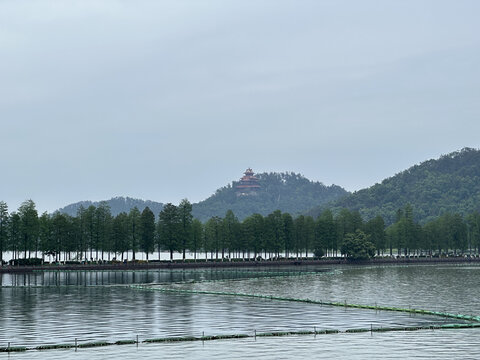 武汉东湖风光