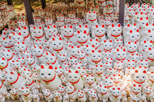豪德寺招财猫