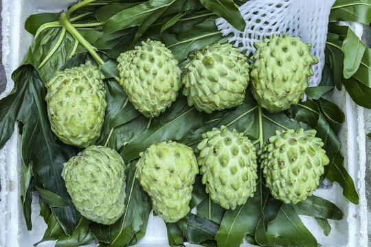 释迦果