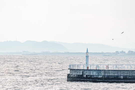 湘南海岸江之岛海滩