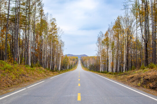 长白山景区秋天森林里笔直的公路延伸到远方