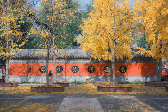 法源寺
