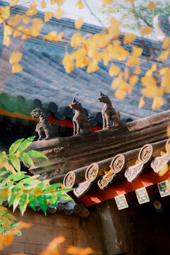 法源寺