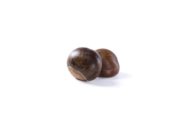 板栗